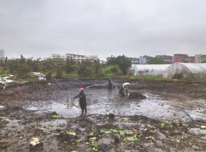 宁河河道鱼塘清淤